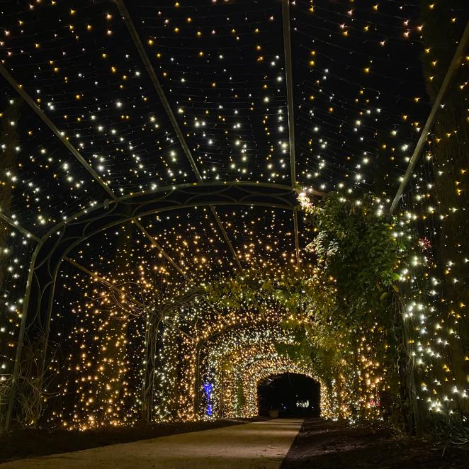 Cheekwood Lights