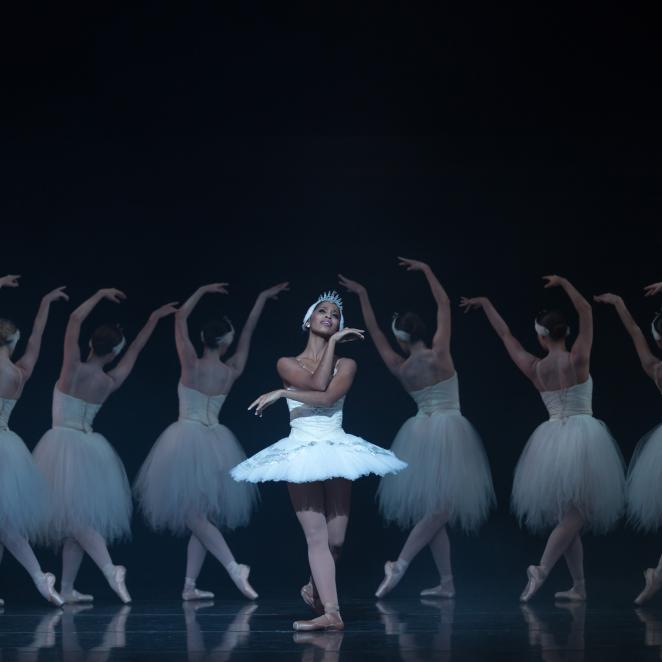 Swan Lake Nashville Ballet