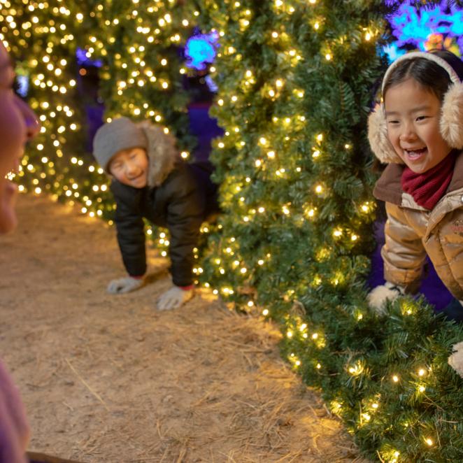 Christmas at Gaylord Opryland