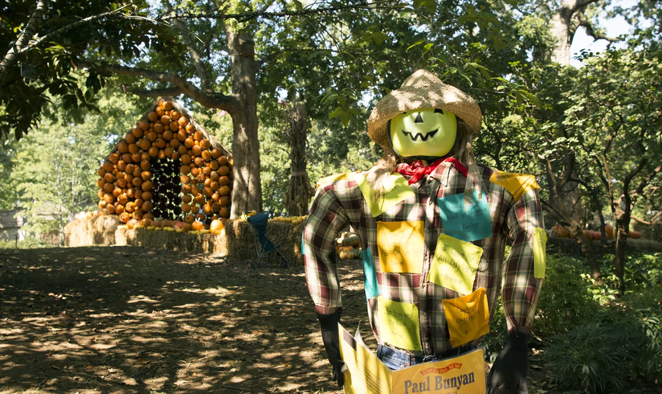 Cheekwood Harvest hero