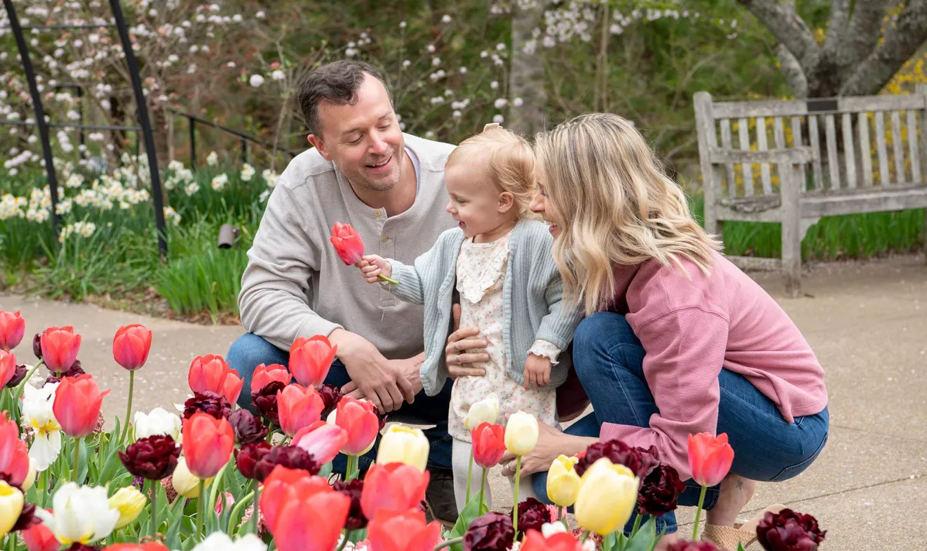 Cheekwood in Bloom