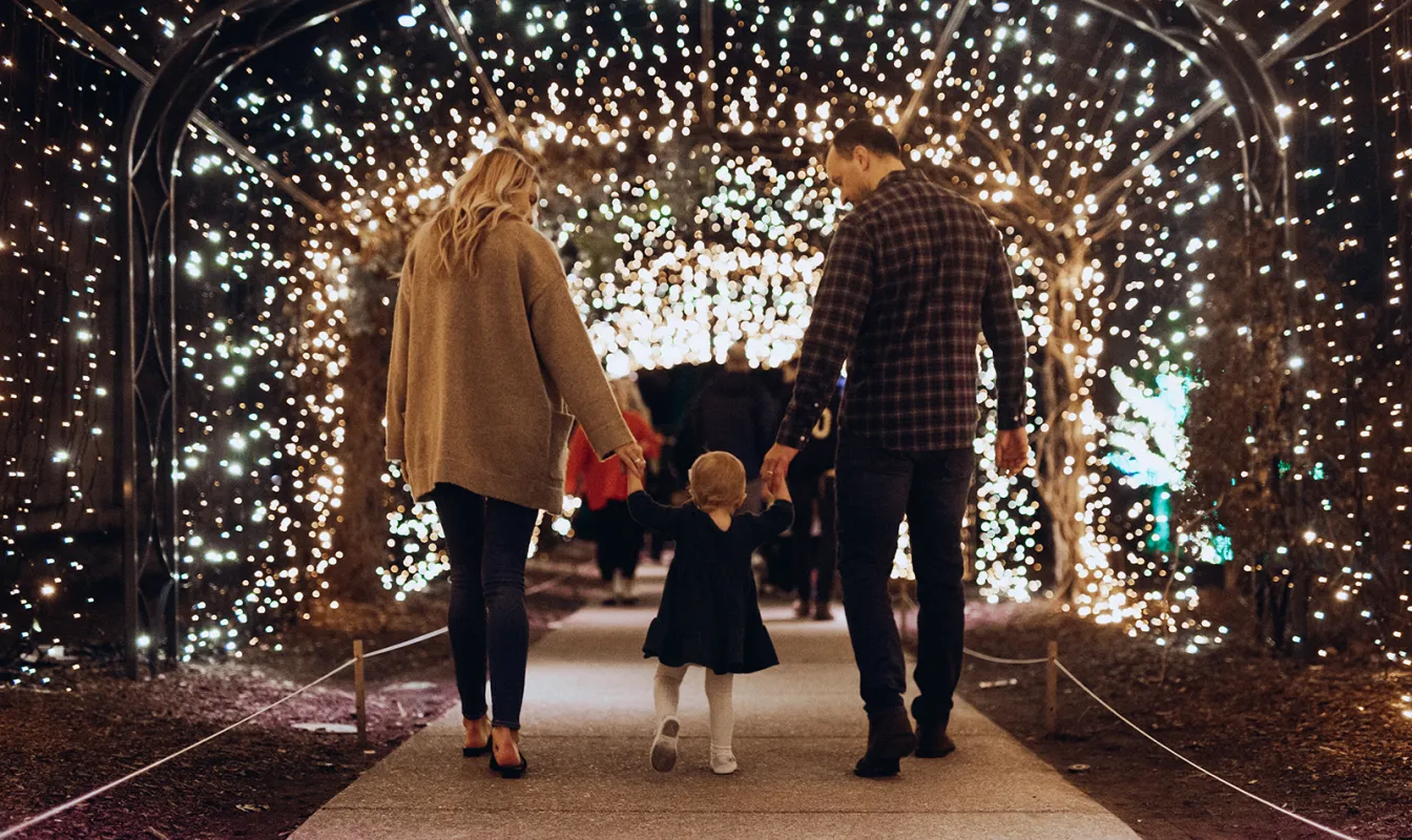 Cheekwood in Lights