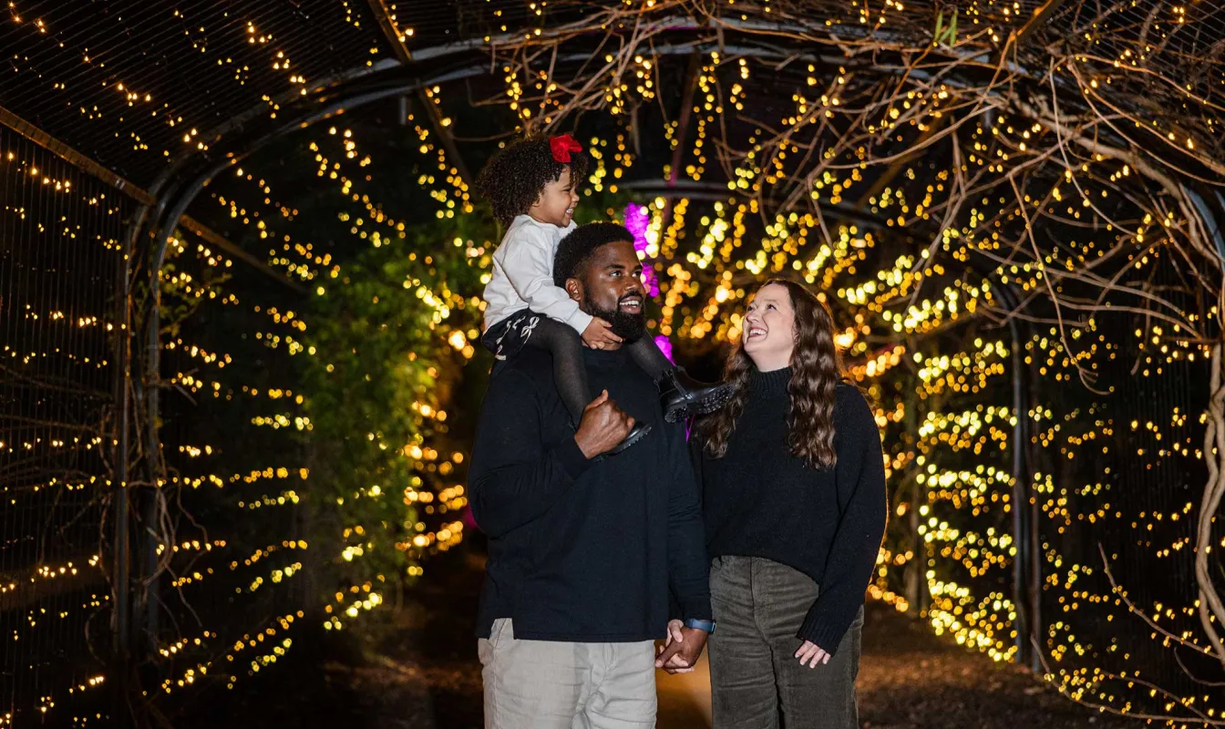 Family at Cheekwood's Holiday LIGHTS 