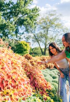 Smelling the flowers at Cheekwood