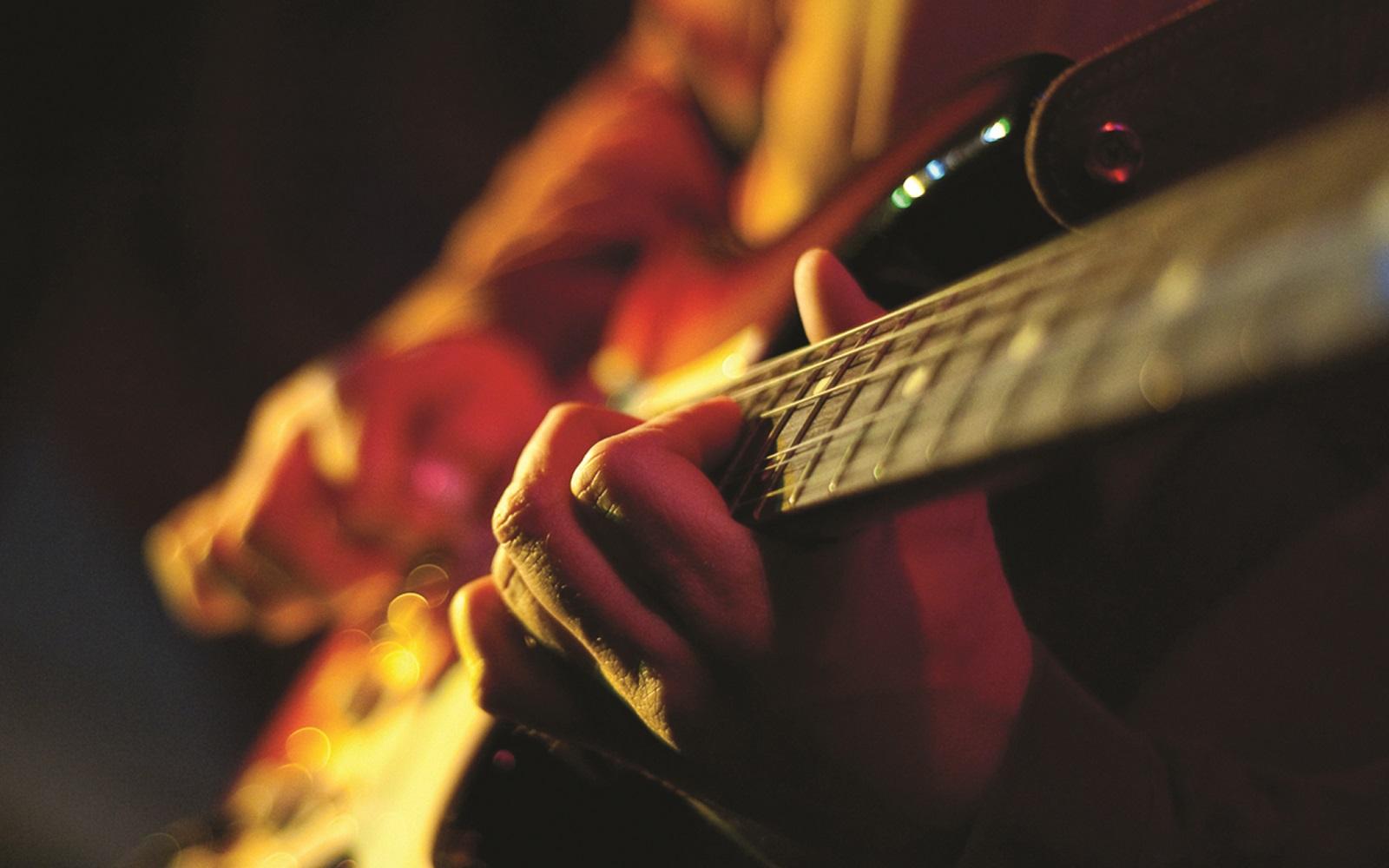 musical instrument guitar