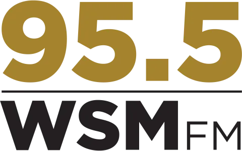 WSM 95 Nash Icon Logo