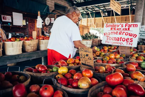 Nashville Farmers' Market | Visit Nashville TN