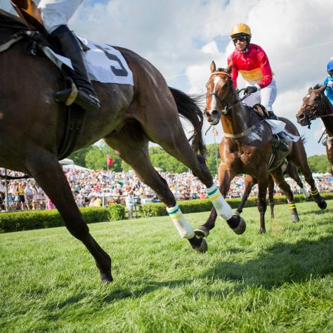 Horse race at the Iroquois Steeplechase