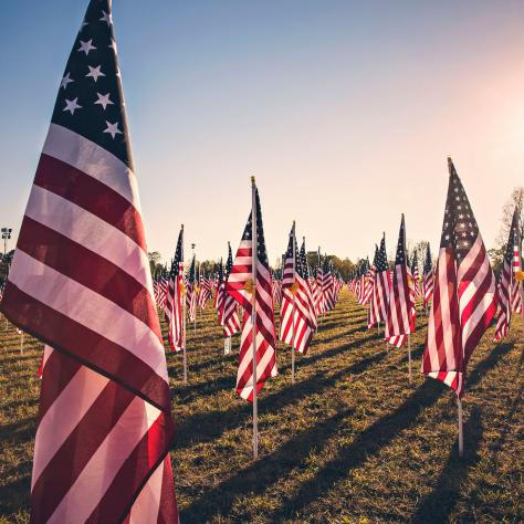 American Flags at the Field of Honor event at Andrew Jackson's Hermitage