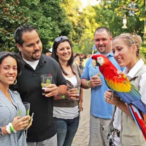 Brew at the Zoo