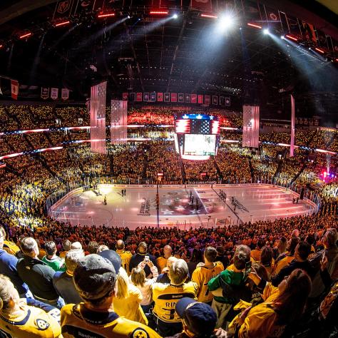 Predators Game Day