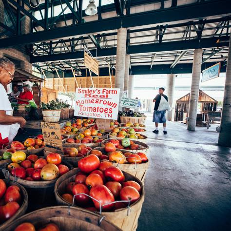 Baskets of fresh tomatoes at market stand in Nashville Farmers' Market.