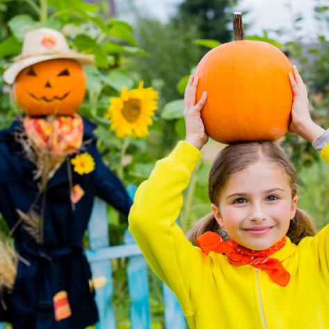 Lucky Ladd Farms Pumpkin Patch