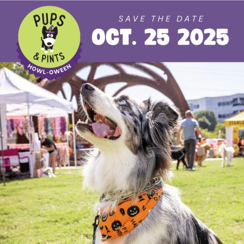 Pups and Pints graphic