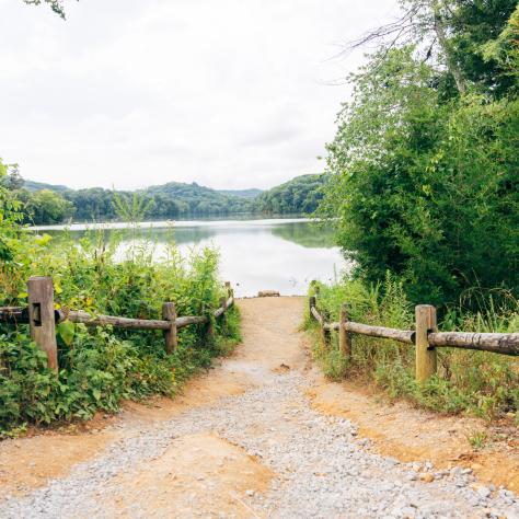 Radnor Lake