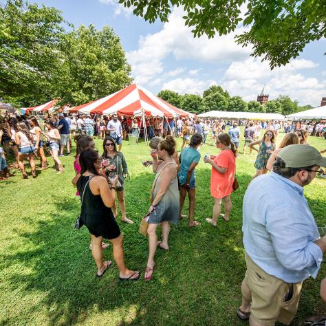 Rosé Festival