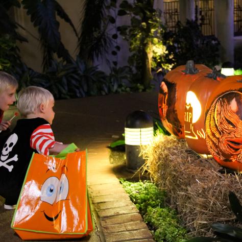 Kids Trick-or-Treat for Halloween at Gaylord Opryland