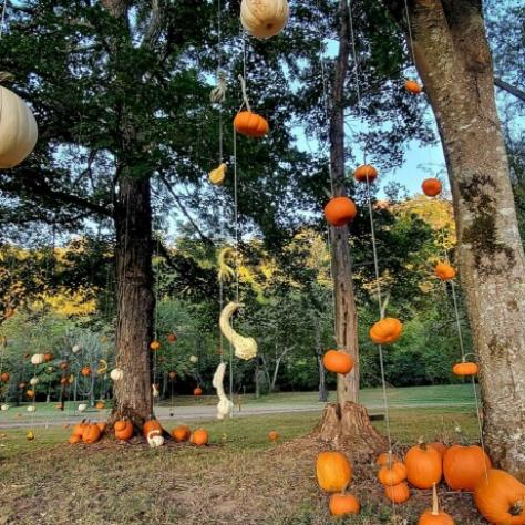 Nashville Fall Festival