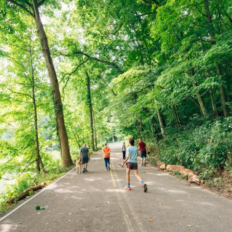 Outdoors at Radnor Lake