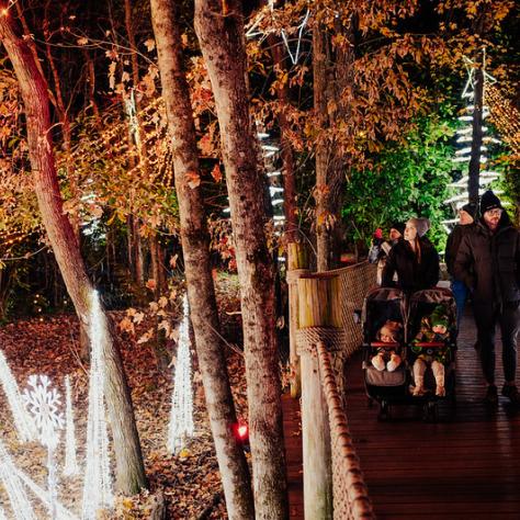 Glow Wild at Nashville Zoo