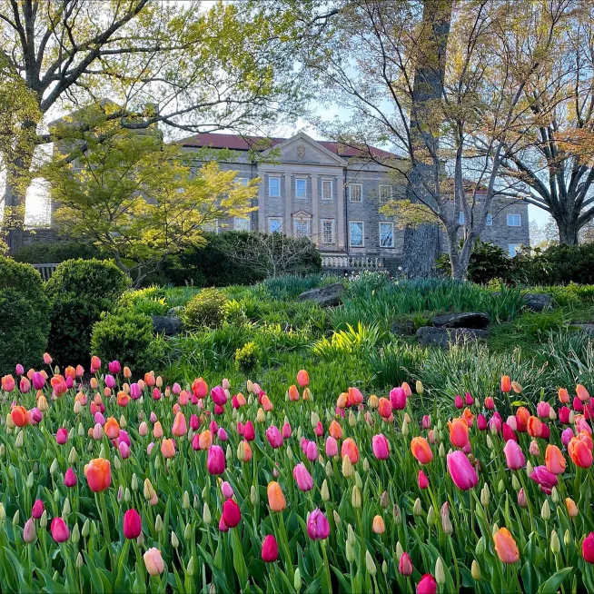 Cheekwood in Bloom