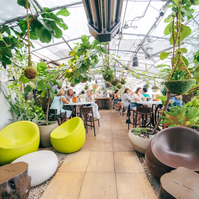 GreenhouseBar-Greenhills