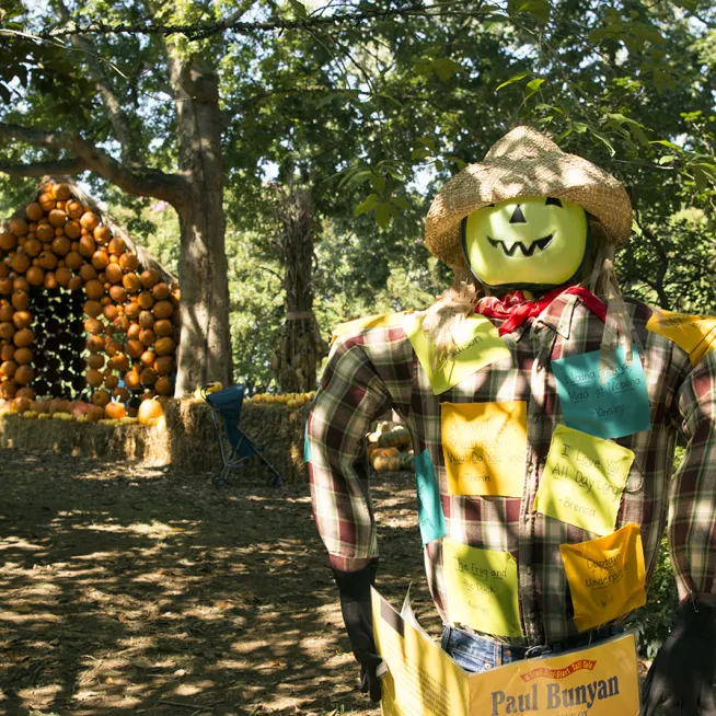 Cheekwood Harvest hero