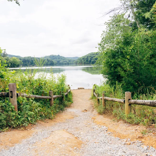 Radnor Lake