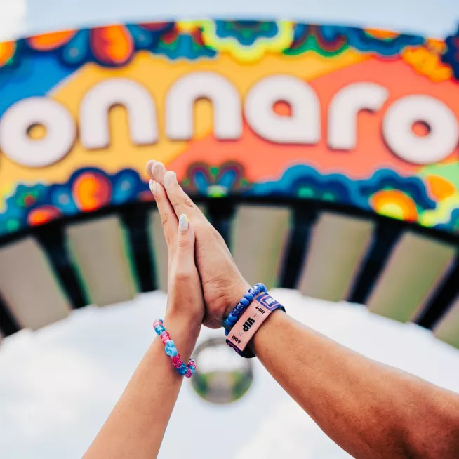 Bonnaroo High Five