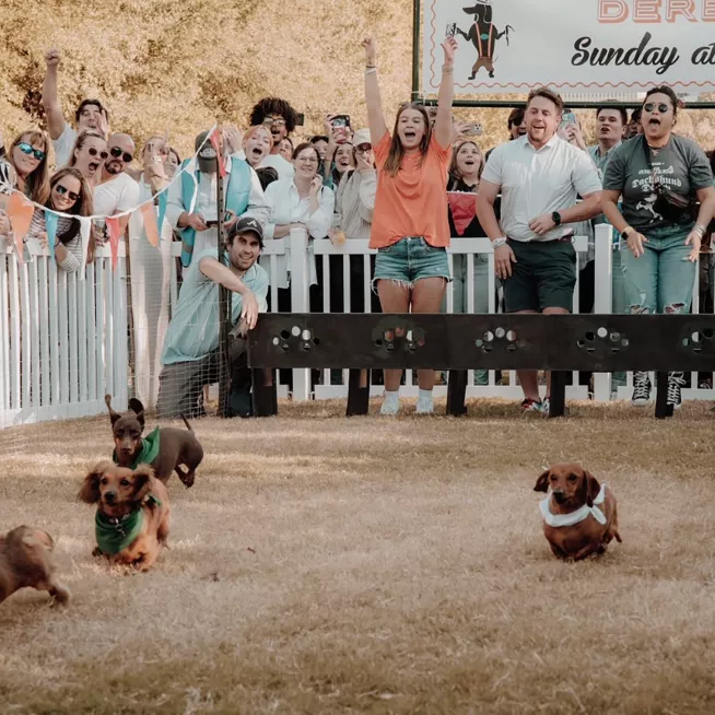 Oktoberfest Pup Race