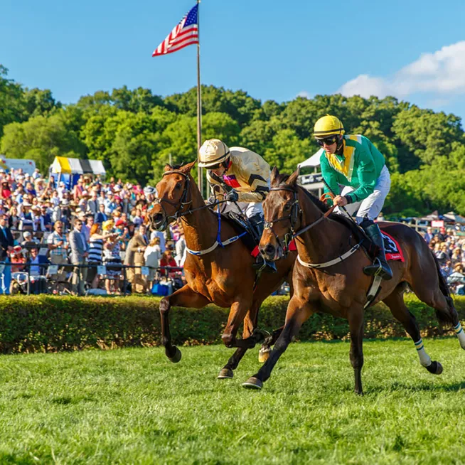 Steeplechase Race Horses