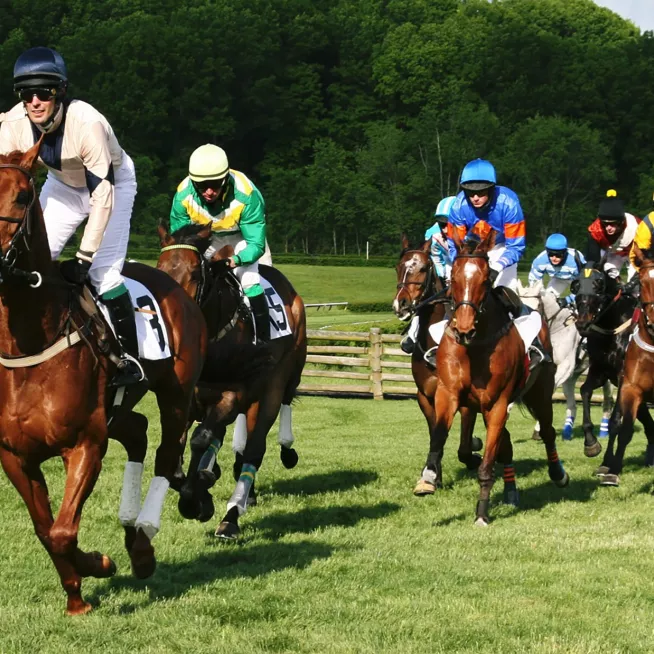 Steeplechase Race