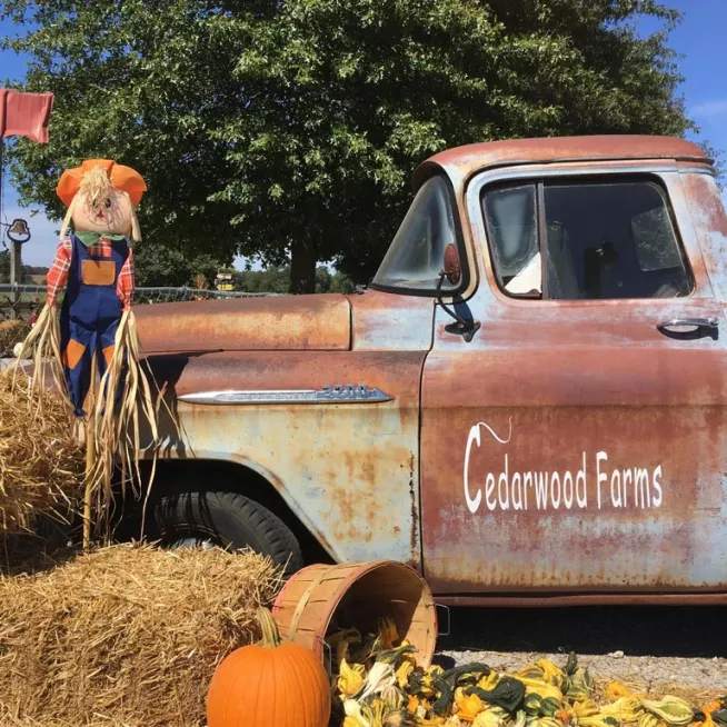 Cedarwood Farm