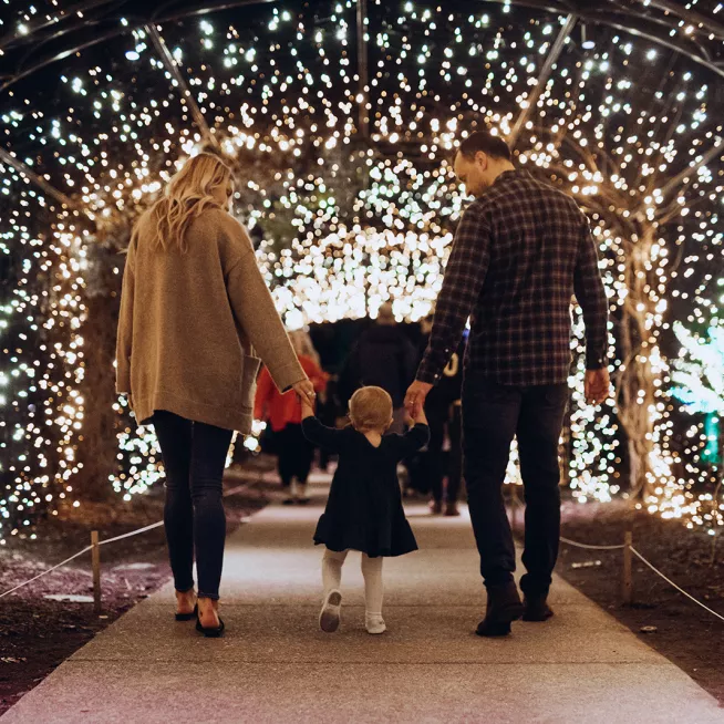 Cheekwood in Lights