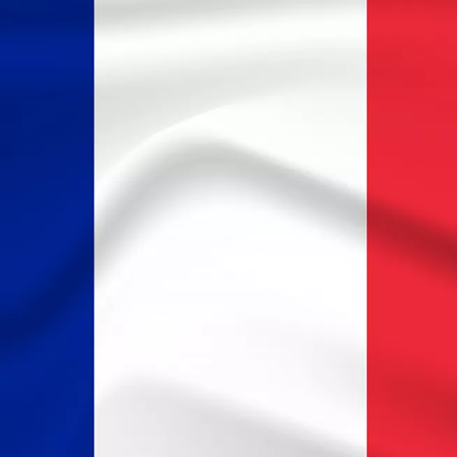 France Flag