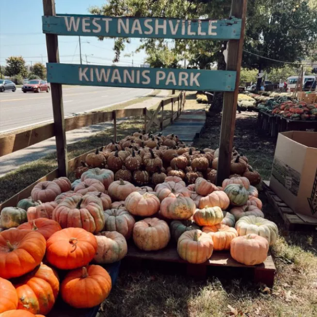 Flying Ghost Pumpkin Patch
