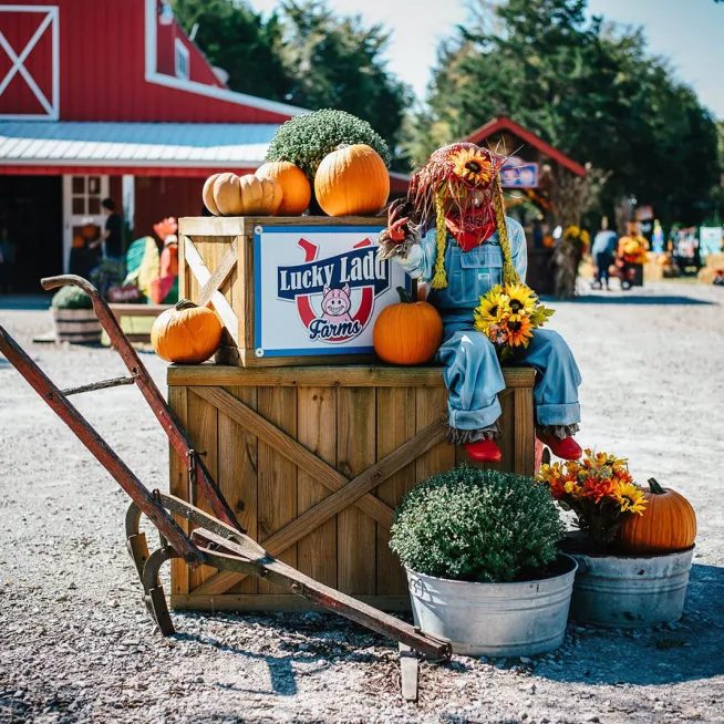 Halloween at Lucky Ladd Farms