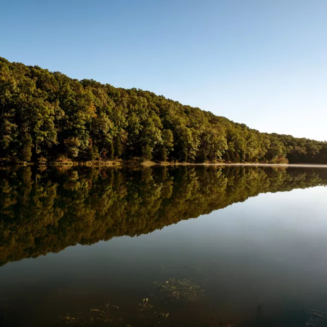 Montgomery Bell State Park