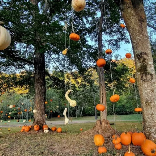Nashville Fall Festival
