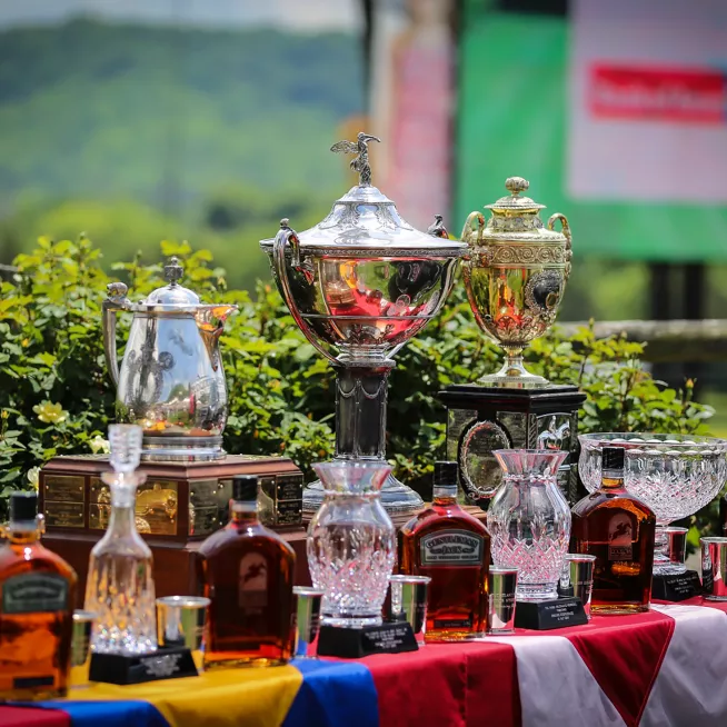 Steeplechase Trophies