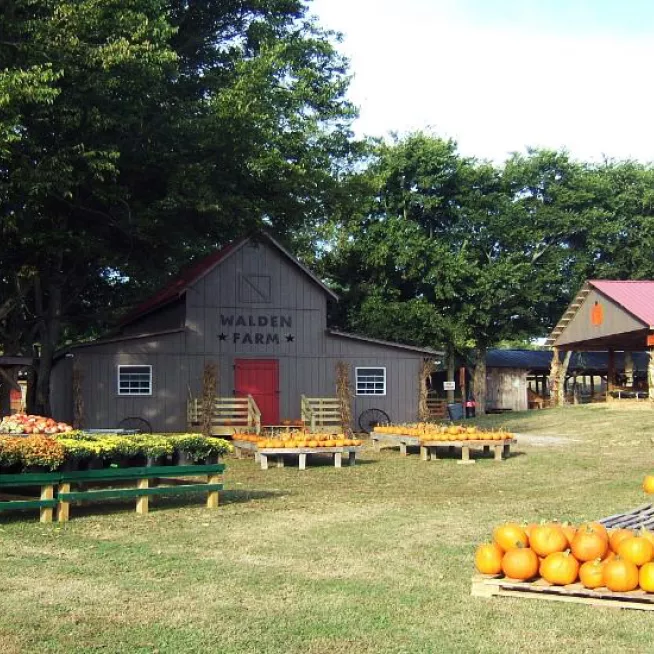 Walden Farms