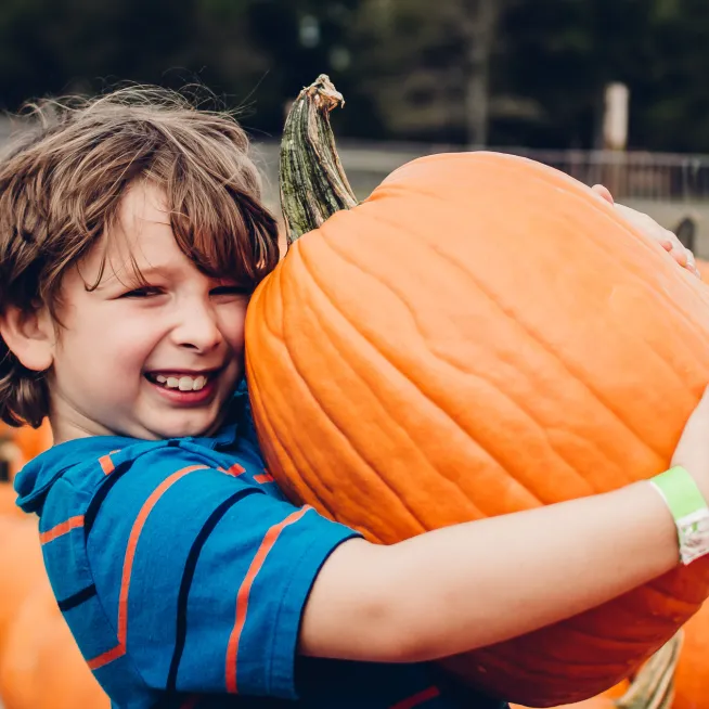 Lucky Ladd Pumpkin Festival