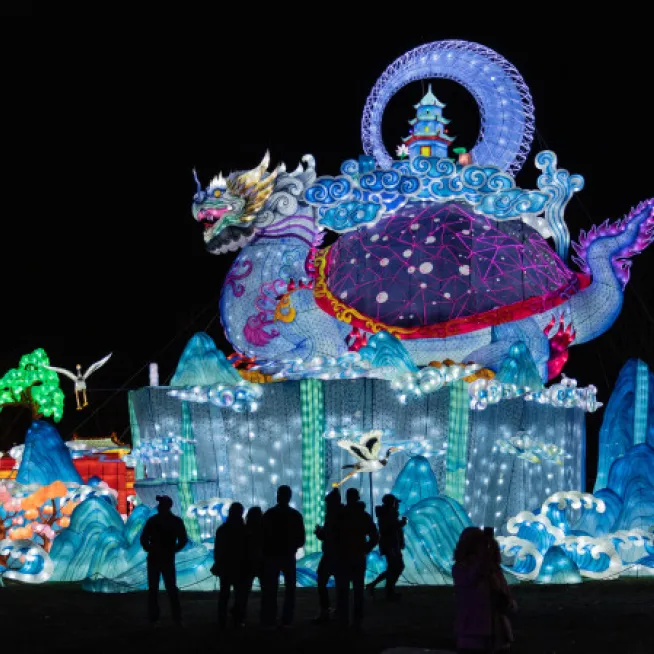 zoo new year's celebrations psa10 【公式通販】