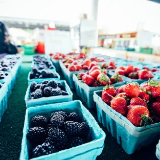 Baskets of fresh blackberries and strawberries sit in rows on a table at the Nashville Farmers' Market in Nashville, Tennessee.