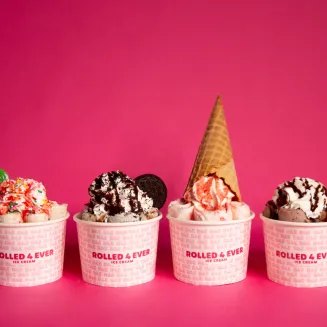 Unicorn Fantasy, Monster Attack, Berrylicious, CoCo Fever