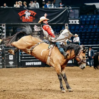 Music City Rodeo