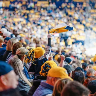 Nashville Predators Fans in Crowd