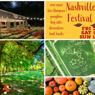 day and time description of the festival.
Corn maze , pumpkin patch, pole barn full of decor and pumpkins ,food trucks, hay rides and live bluegrass music!