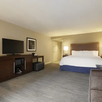 1 King Study with Sofa bed