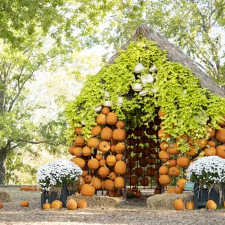 Pumpkin House on display at Cheekwood Estate and Gardens during Cheekwood Harvest